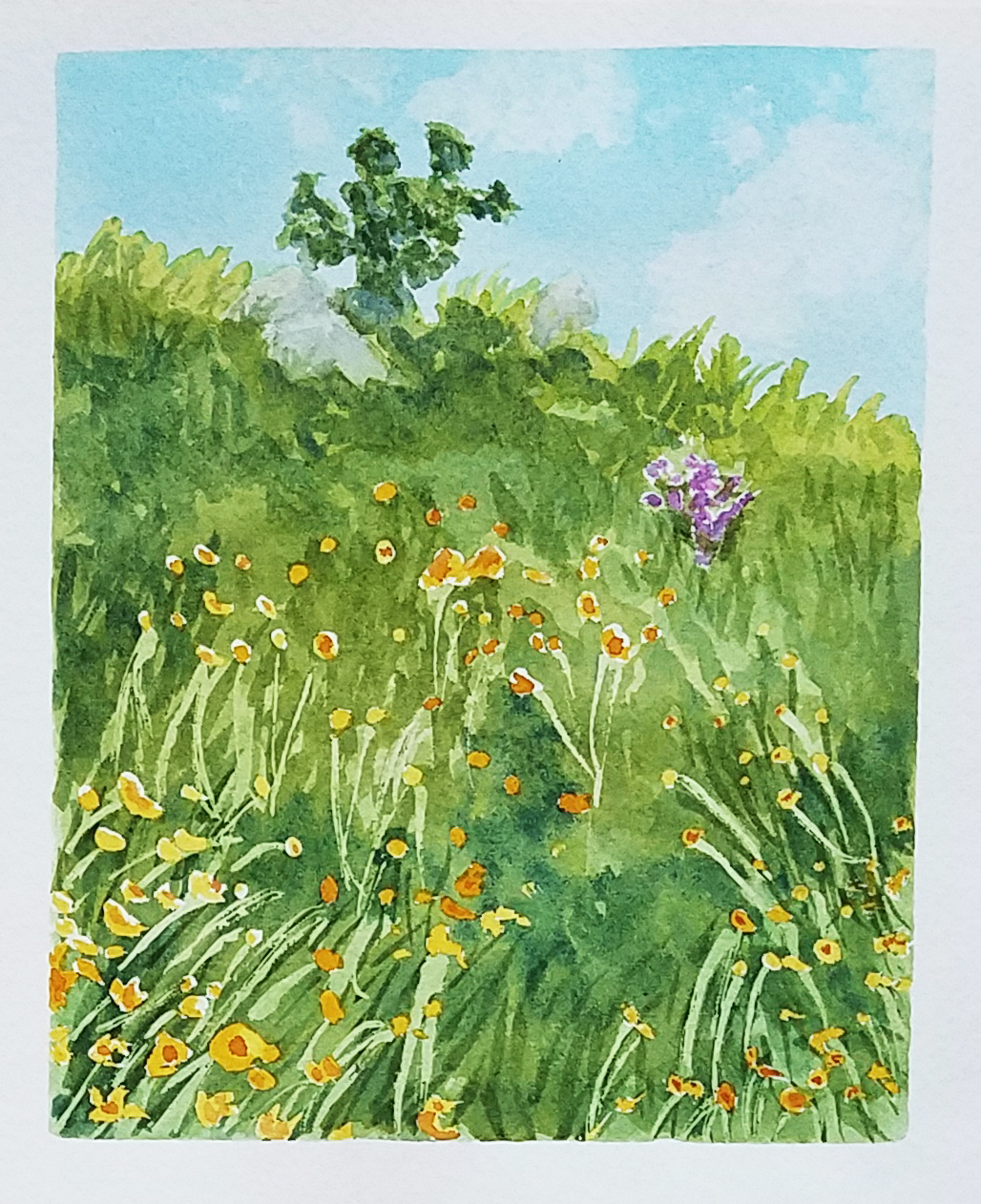 Field / Watercolor on paper / 5 x 7 inches / 2019